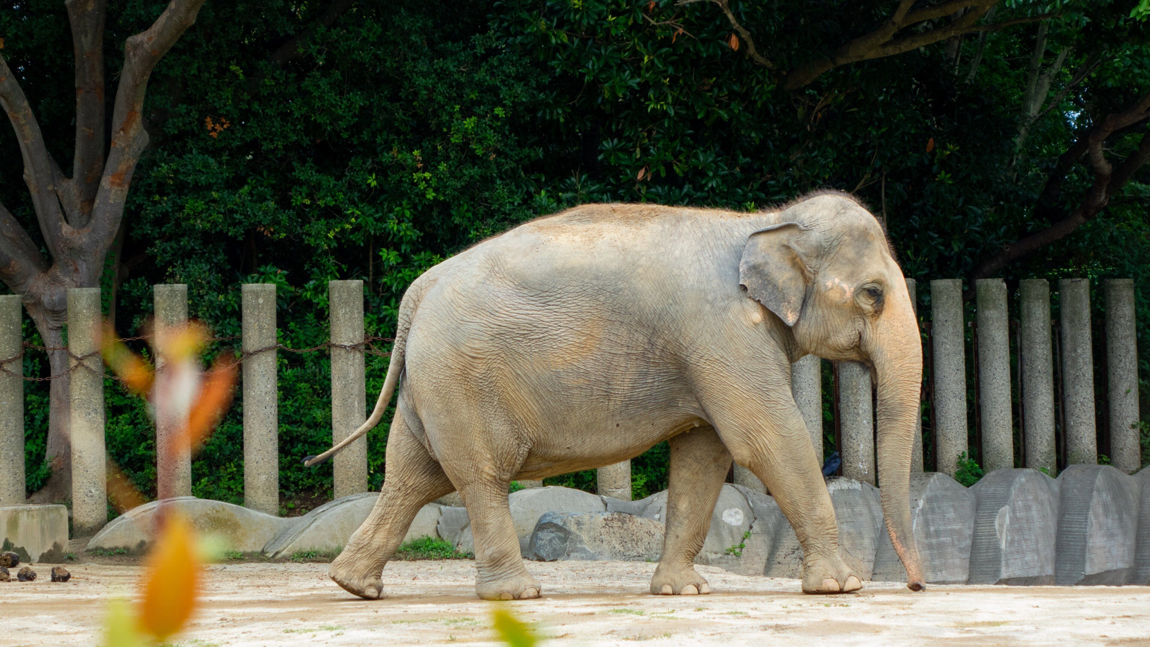 Chiba Zoological Park Tours - Book Now | Expedia