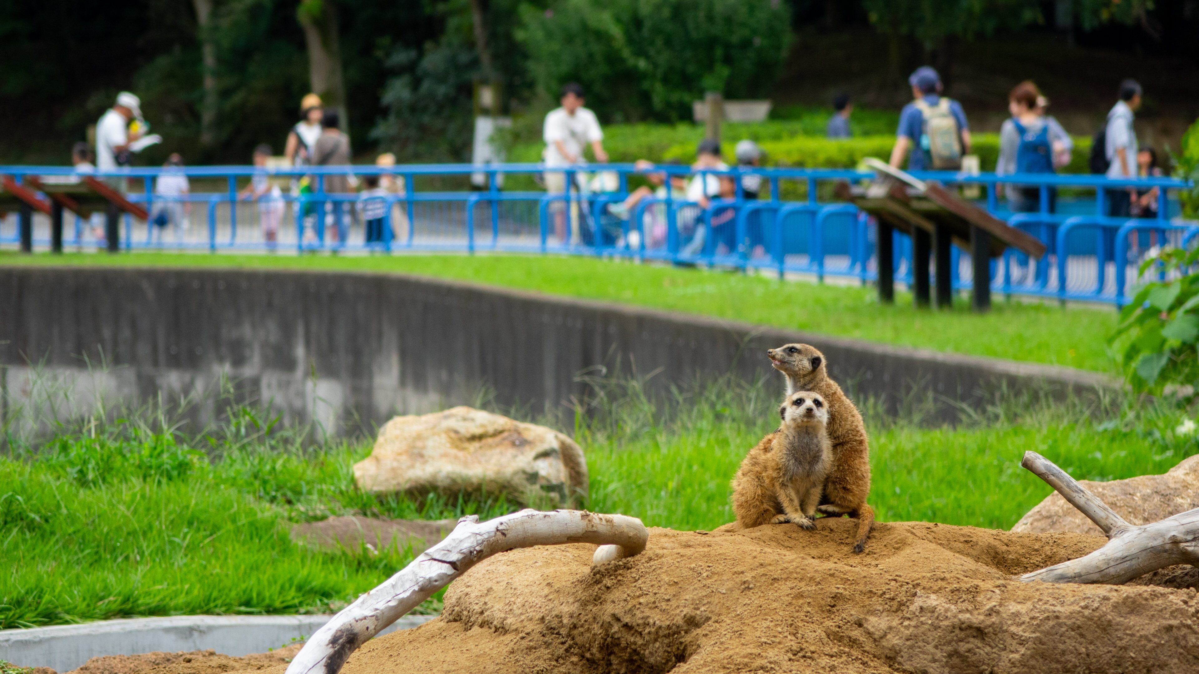 Chiba Zoological Park