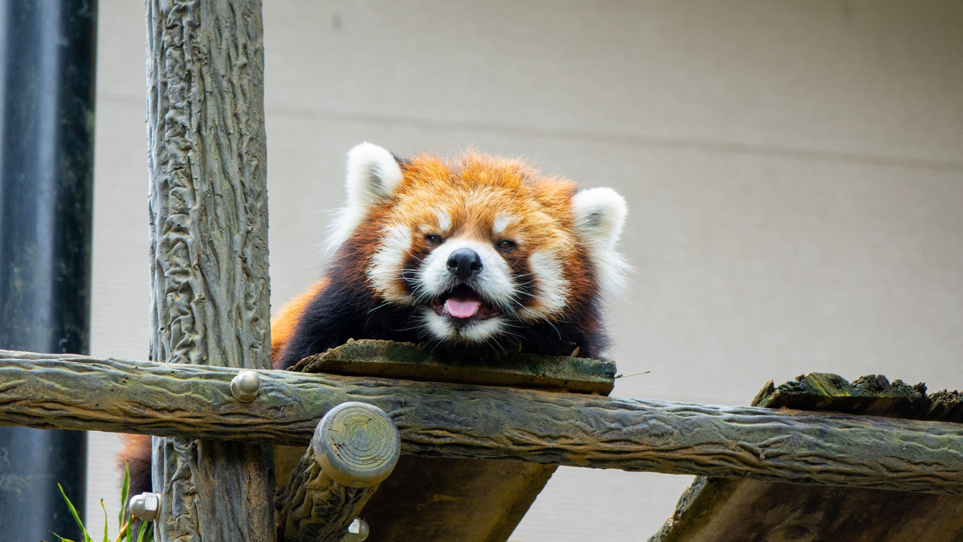 Chiba Zoological Park Tours - Book Now | Expedia