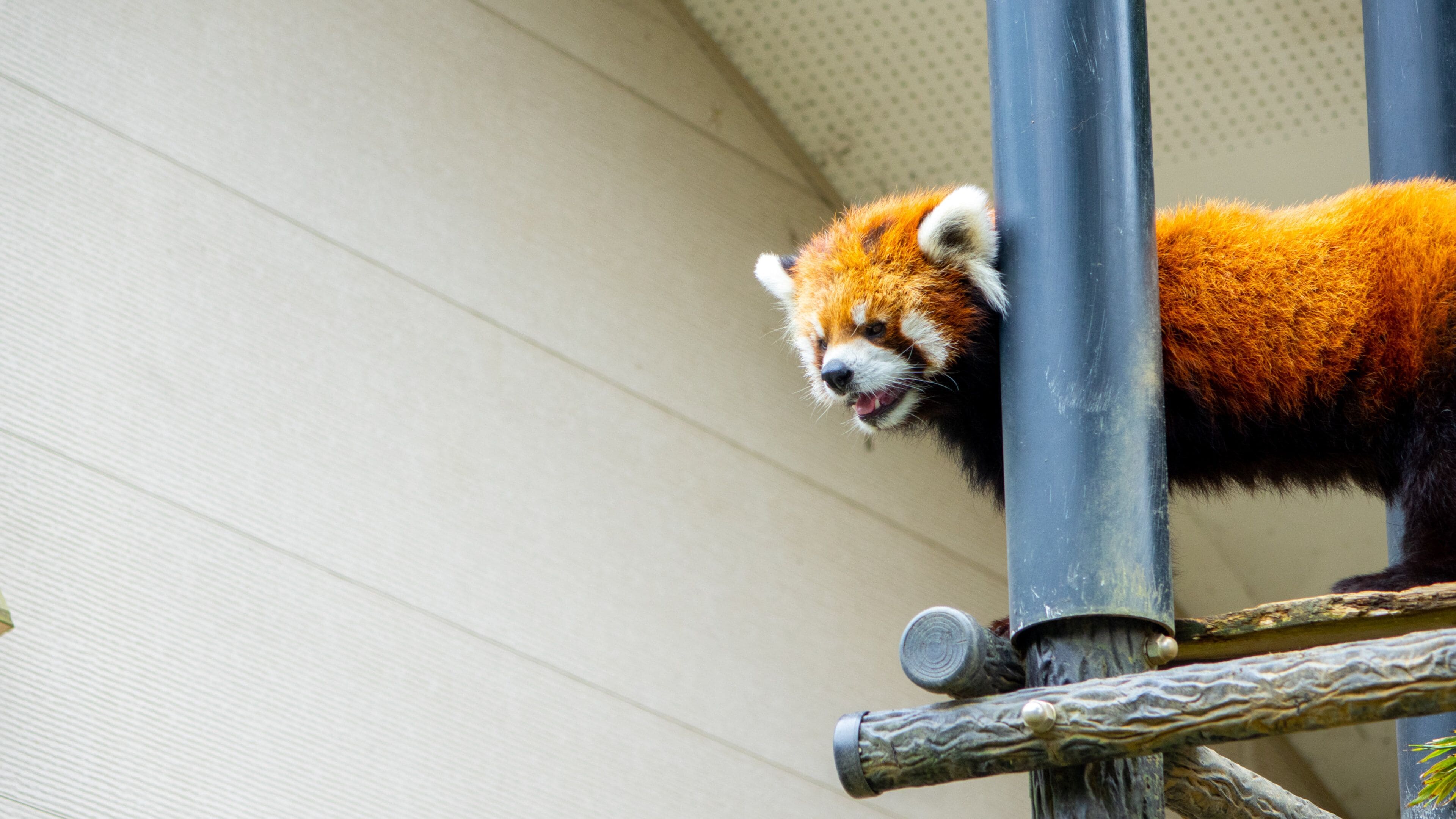 Chiba Zoological Park