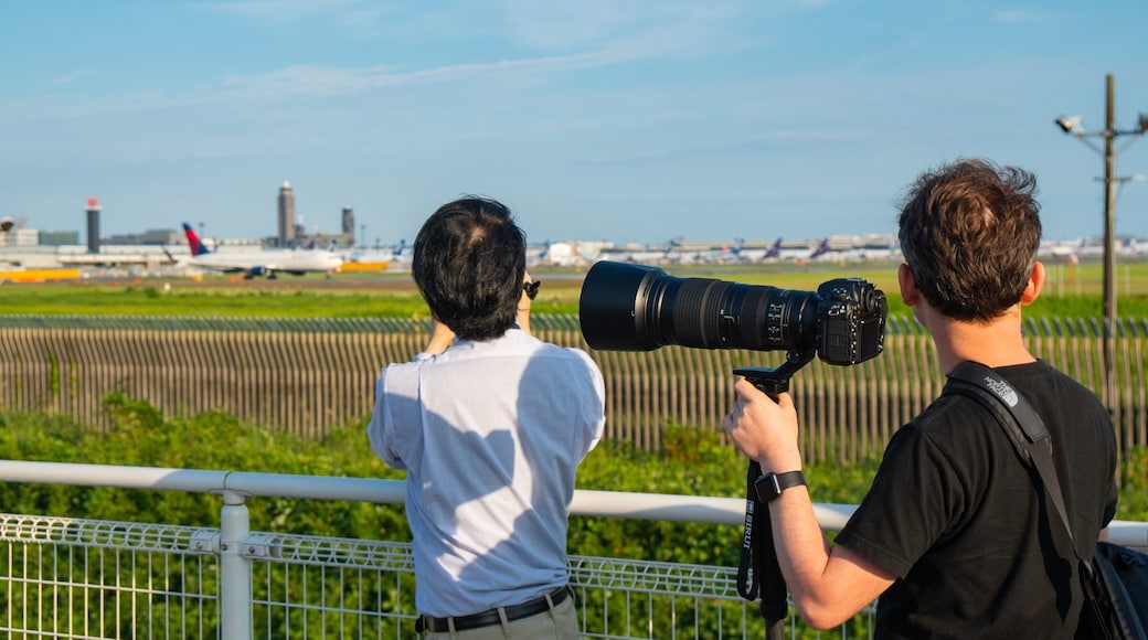 Sakura-no-Yama Hill which includes views as well as a couple