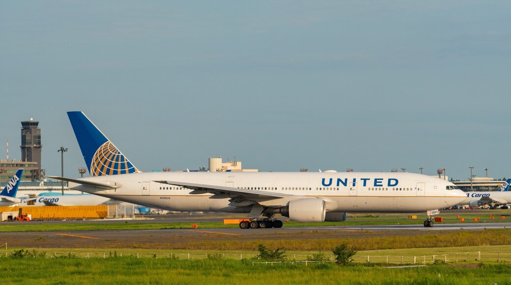 Sakura-no-Yama Hill featuring aircraft