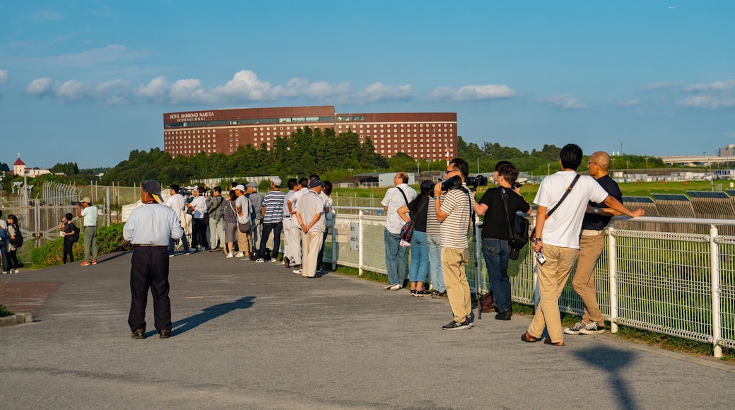 Sakura-no-Yama Hill featuring a park as well as a small group of people