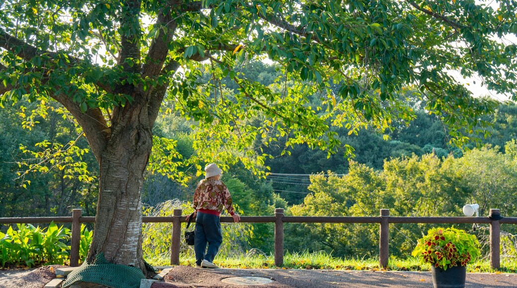 Sakura-no-Yama Hill showing a park as well as an individual femail