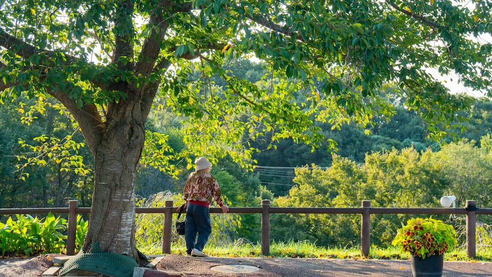 Sakura-no-Yama Hill showing a park as well as an individual femail