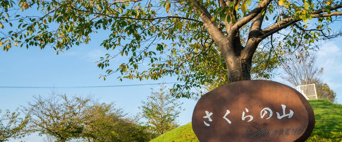 Sakura-no-Yama Hill featuring a park and signage