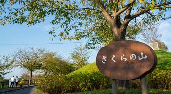 Sakura-no-Yama Hill featuring a park and signage
