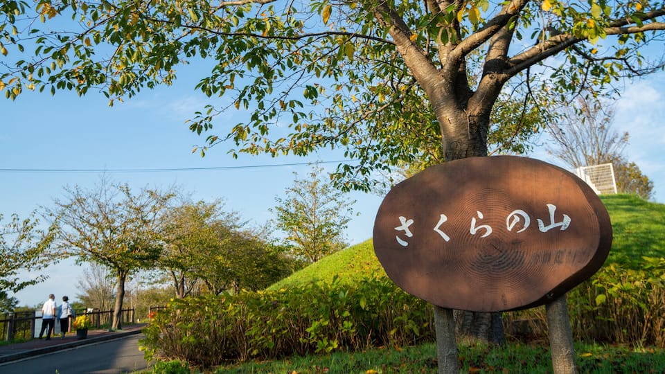 Sakura-no-Yama Hill featuring a park and signage