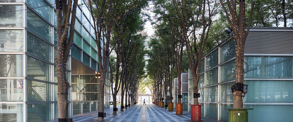 Saitama_KeyakiHiroba_553248621532774863_05