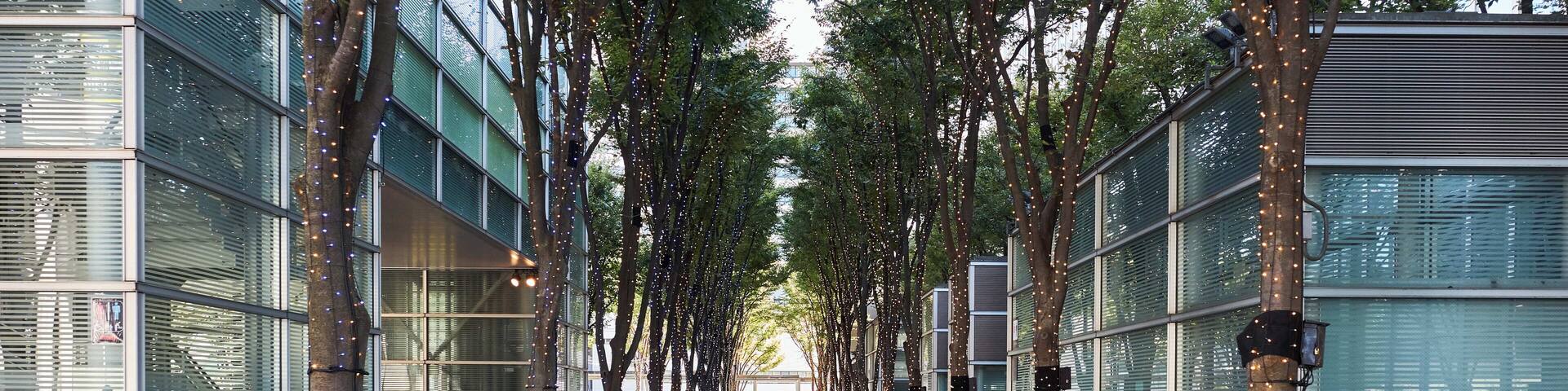 Saitama_KeyakiHiroba_553248621532774863_05