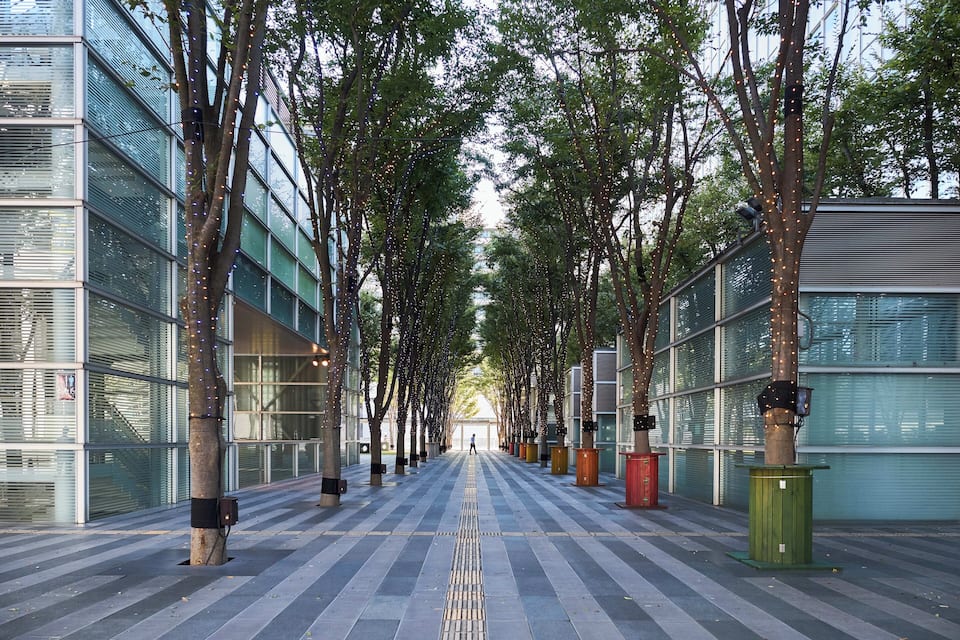 A tree-lined walkway with modern buildings on either side.