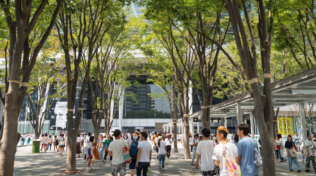 Keyaki Hiroba which includes street scenes