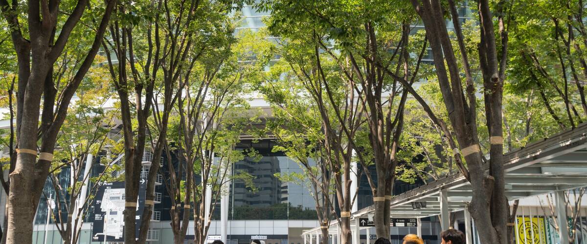 Keyaki Hiroba which includes street scenes