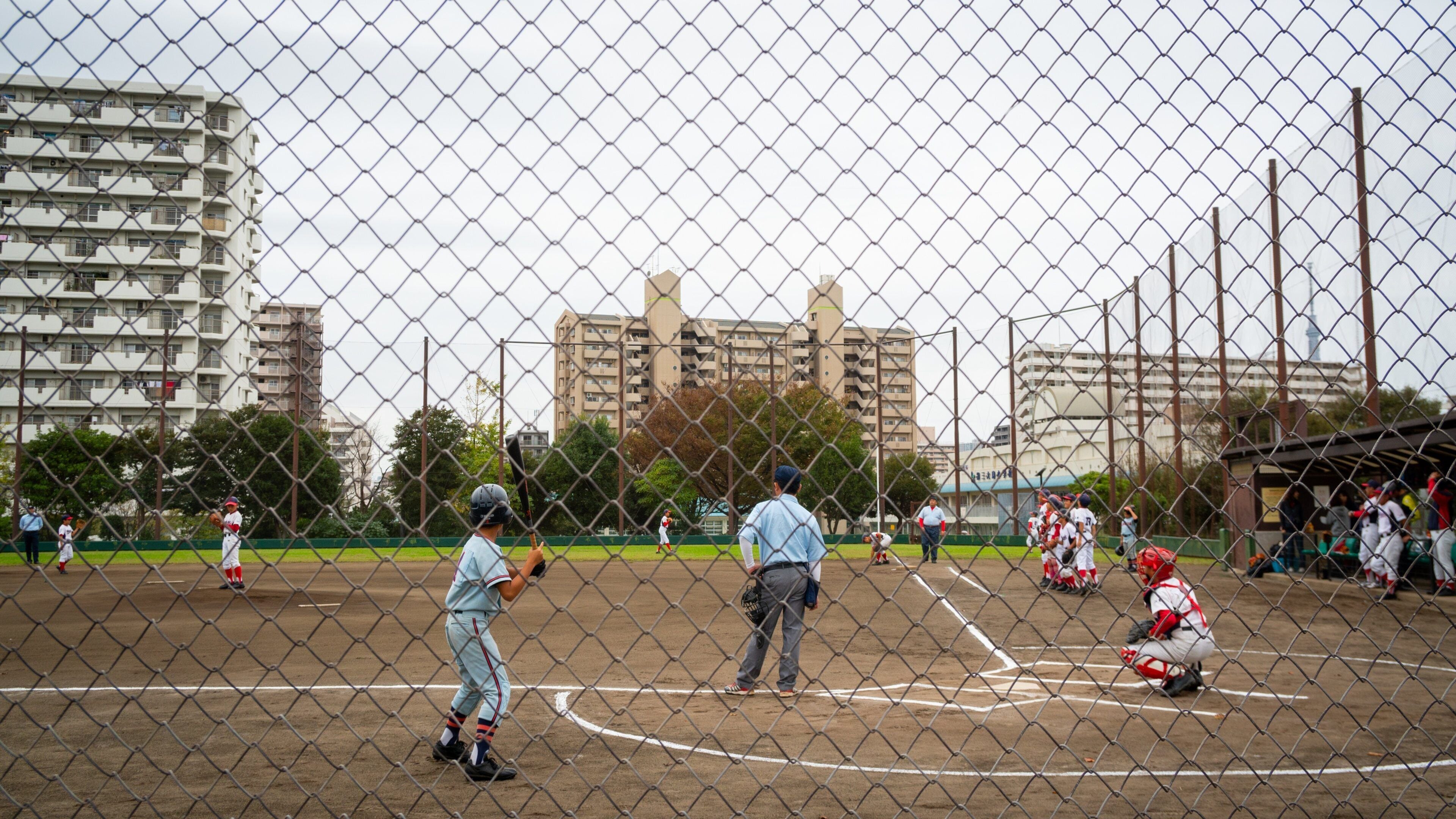 Ojima Komatsugawa Park
