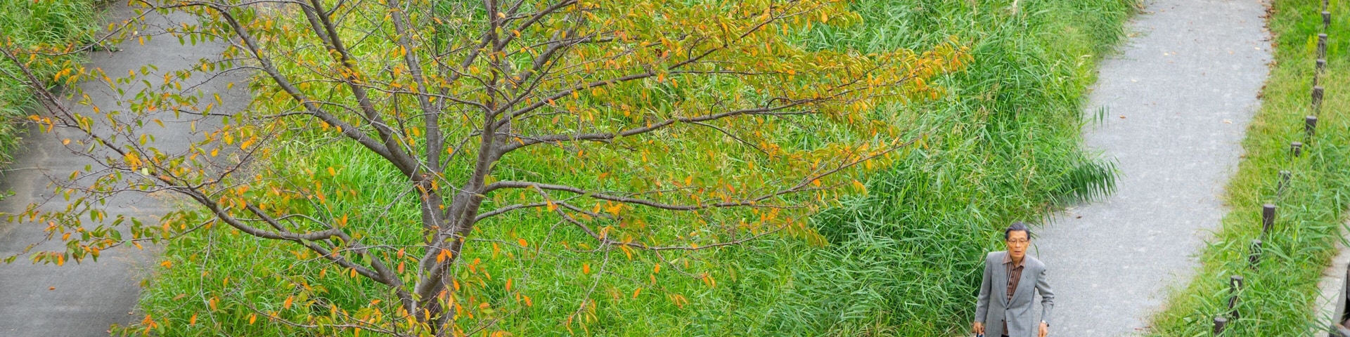 Ojima Komatsugawa Park