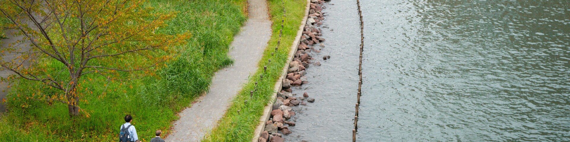 Ojima Komatsugawa Park which includes a park and a river or creek as well as a small group of people