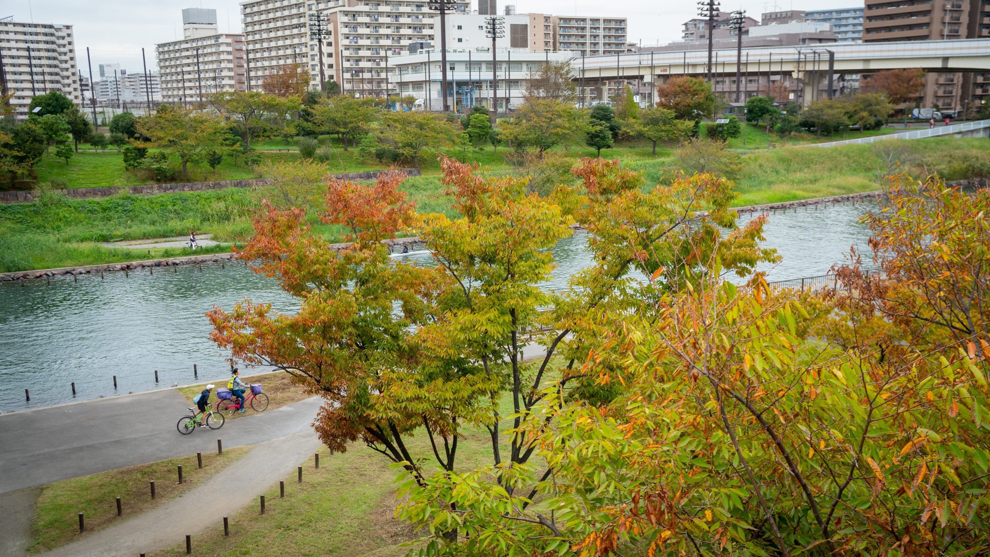 Ojima Komatsugawa Park