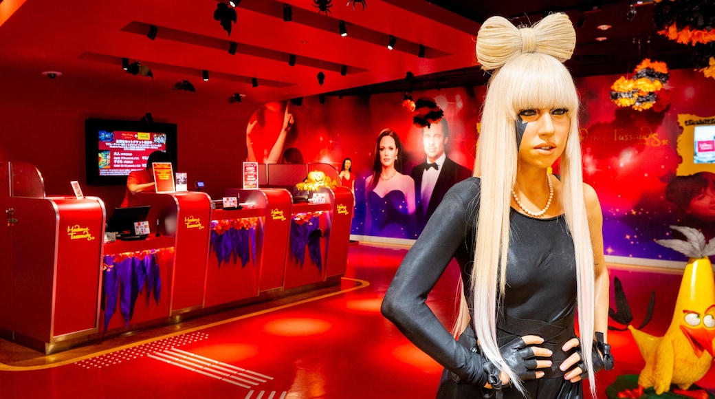 Madame Tussauds Tokyo featuring interior views