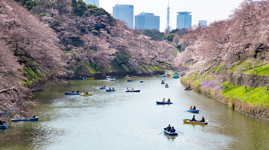 Chidorigafuchi,the moat in the Imperial Palace