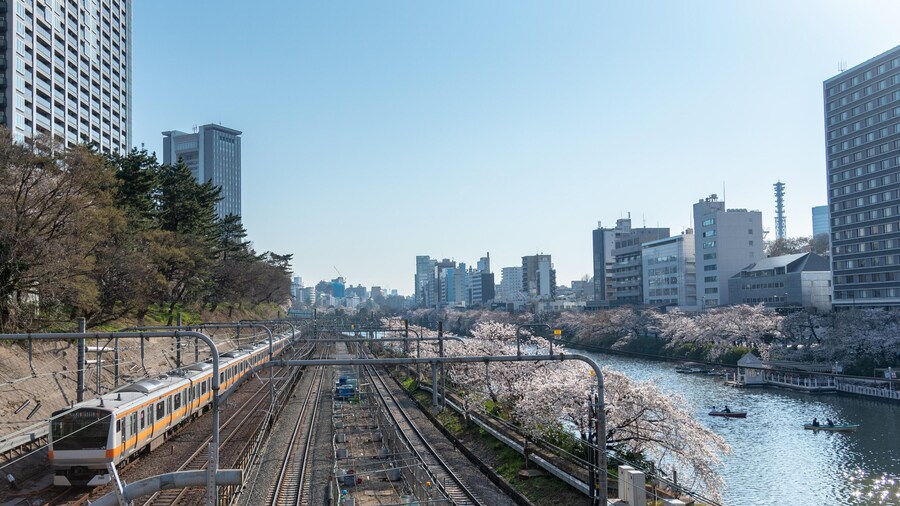 PR4D50 Sotobori Park is famous Cherry blossoms spot that follows along the outer moat of the JR Chuo-Line,Sobu-Line from Iidabashi station to Yotsuya station