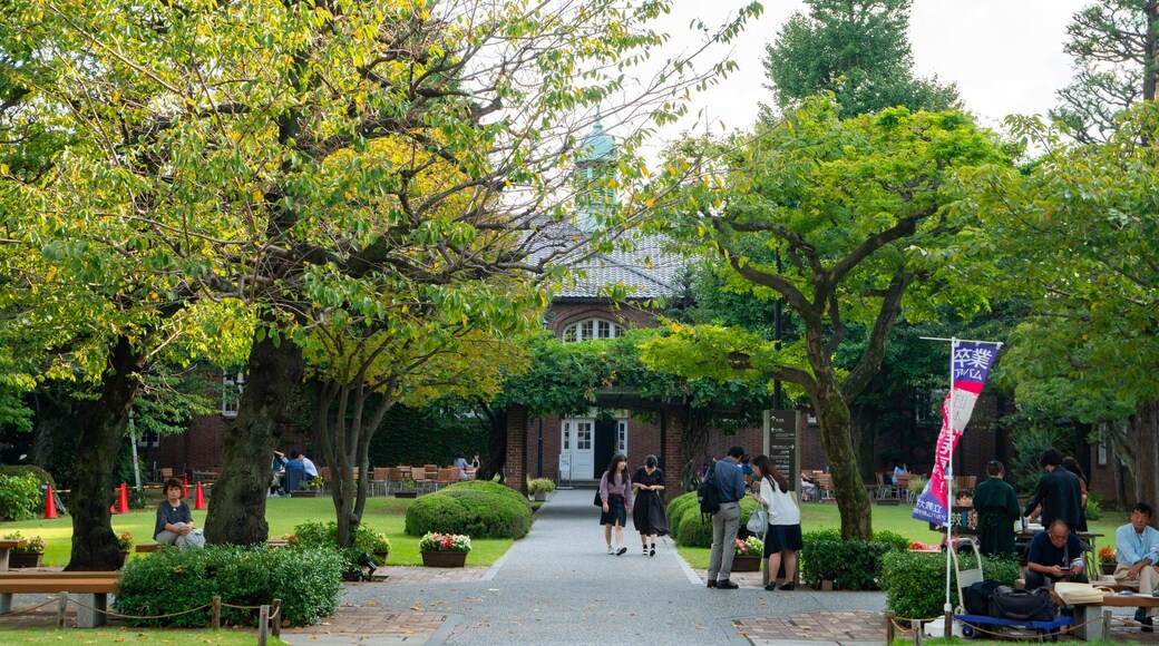 Rikkyo University