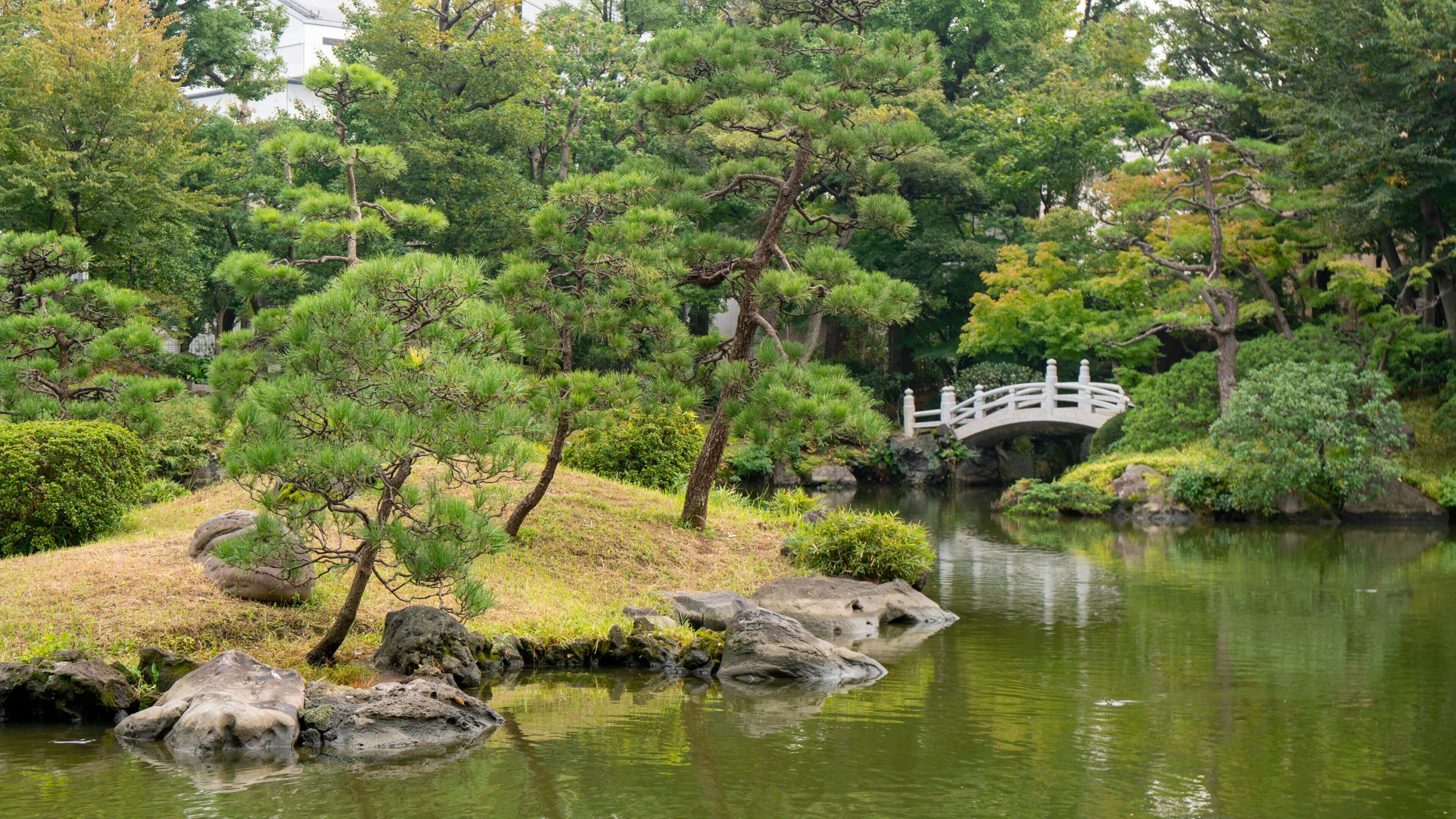 Kyu Yasuda Garden which includes a pond and a park