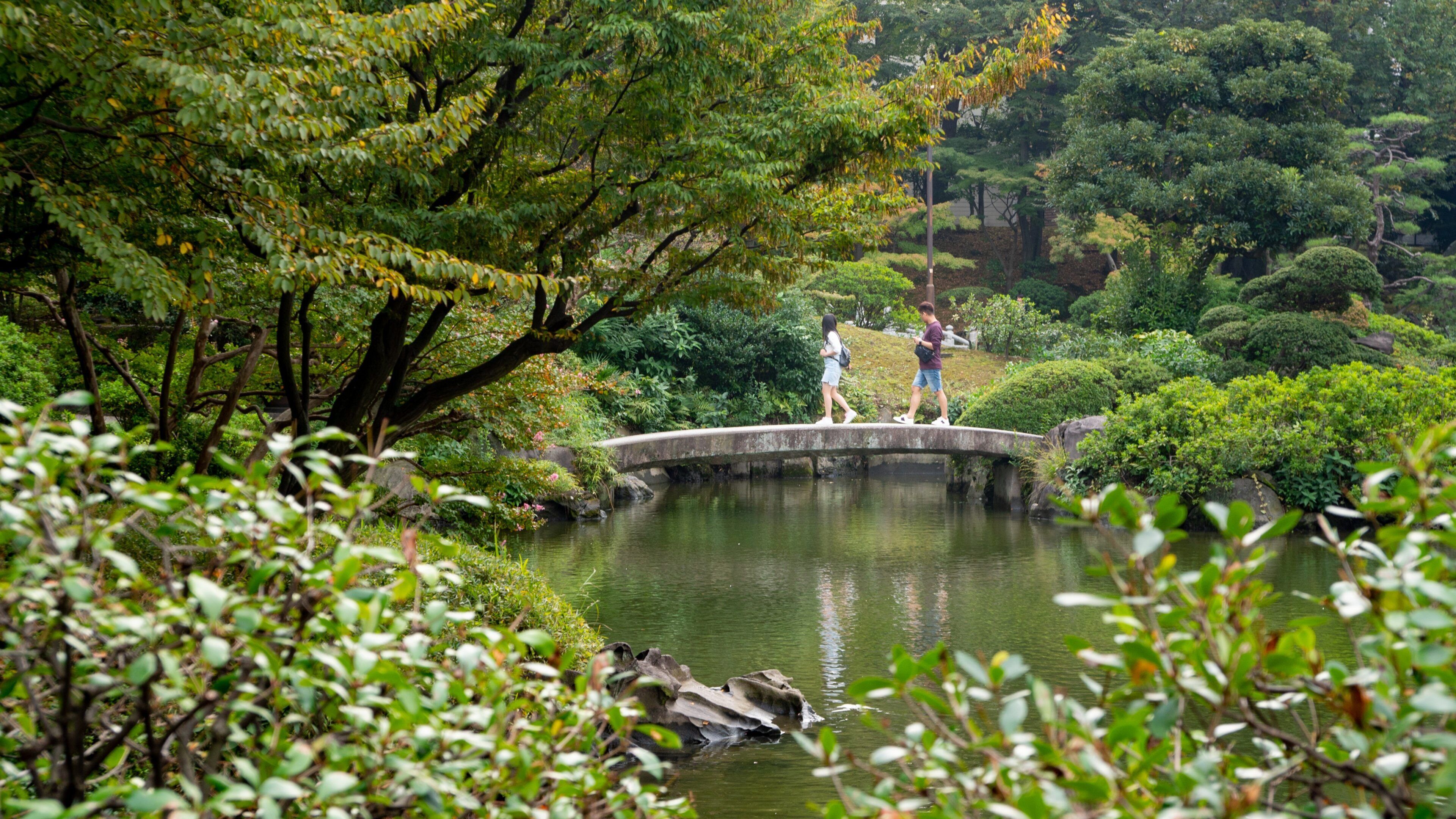 Kyu Yasuda Garden which includes a bridge and a pond as well as a couple
