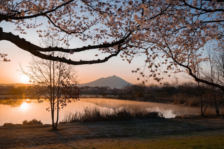 茨城 筑波山と桜