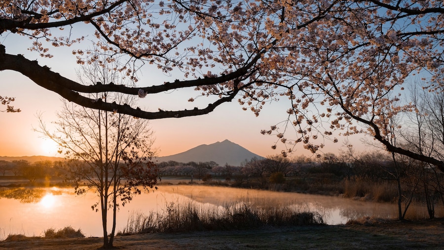 茨城 筑波山と桜