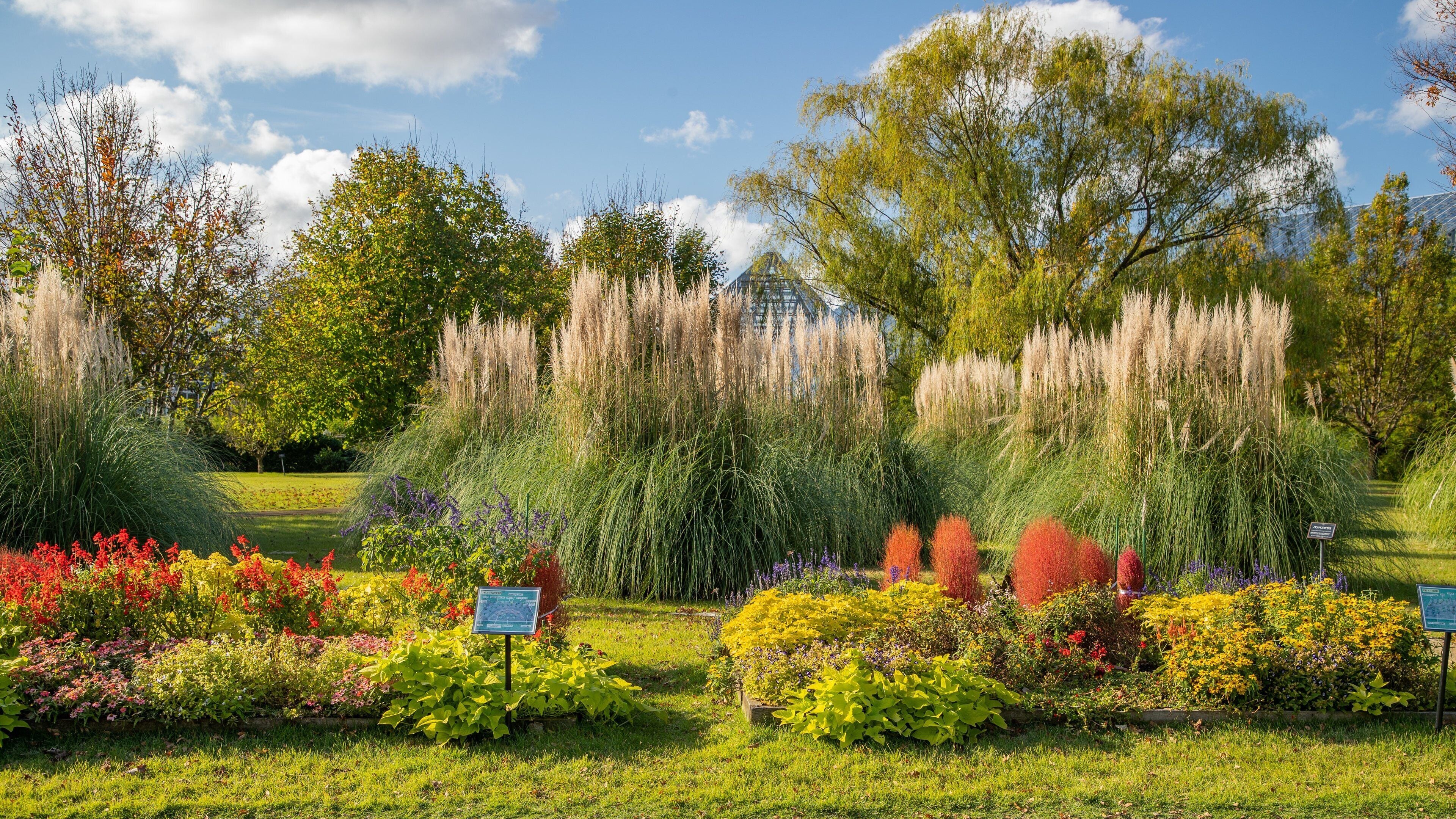 Botanic Gardens of Toyama featuring a park and wildflowers