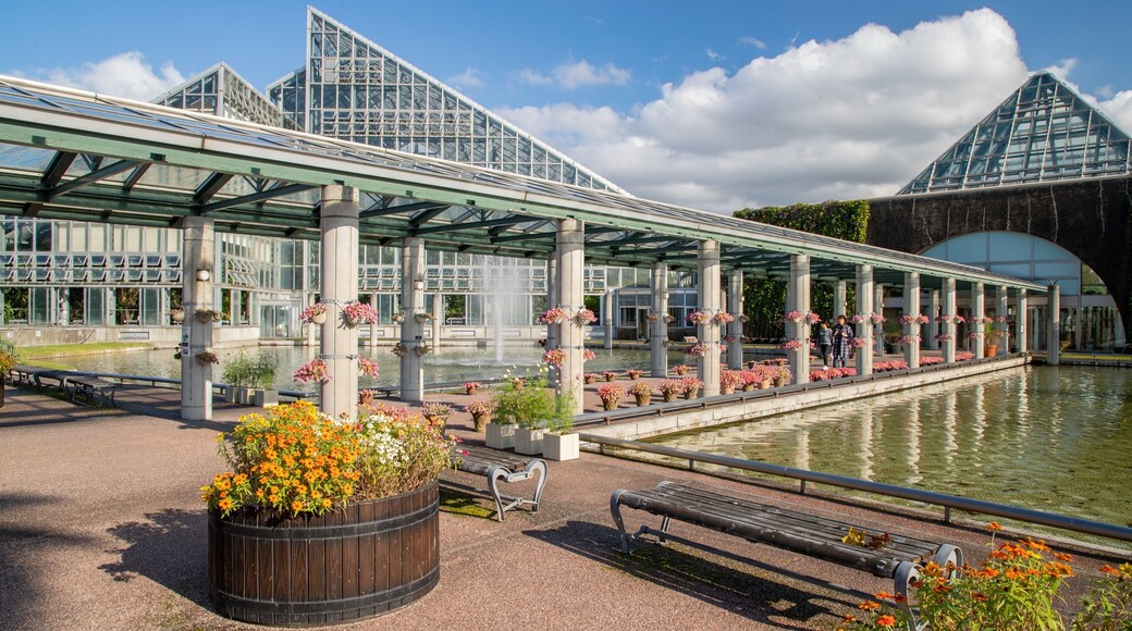 Toyama showing a pond and flowers