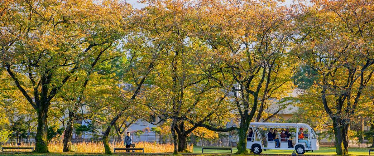Botanic Gardens of Toyama