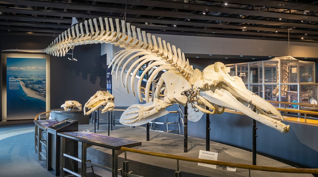 Toyama Science Museum