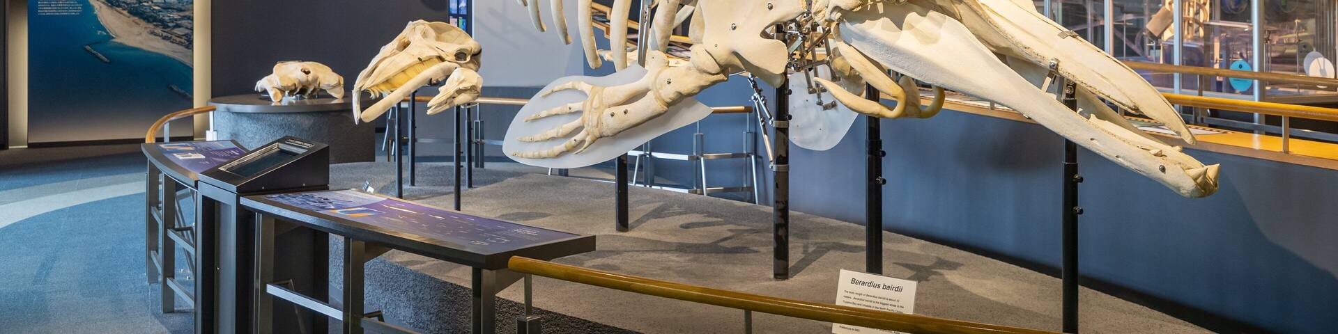 Toyama Science Museum