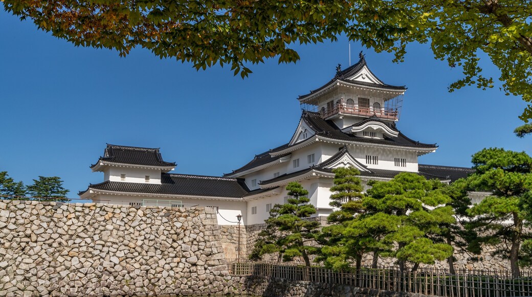 Toyama Castle which includes heritage architecture