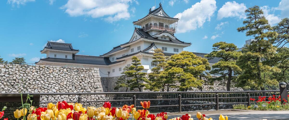 Spring scenery of the Toyama castle in Toyama, Japan; Shutterstock ID 673071112; purchase_order: SF 06557000; job: ; client: ; other: