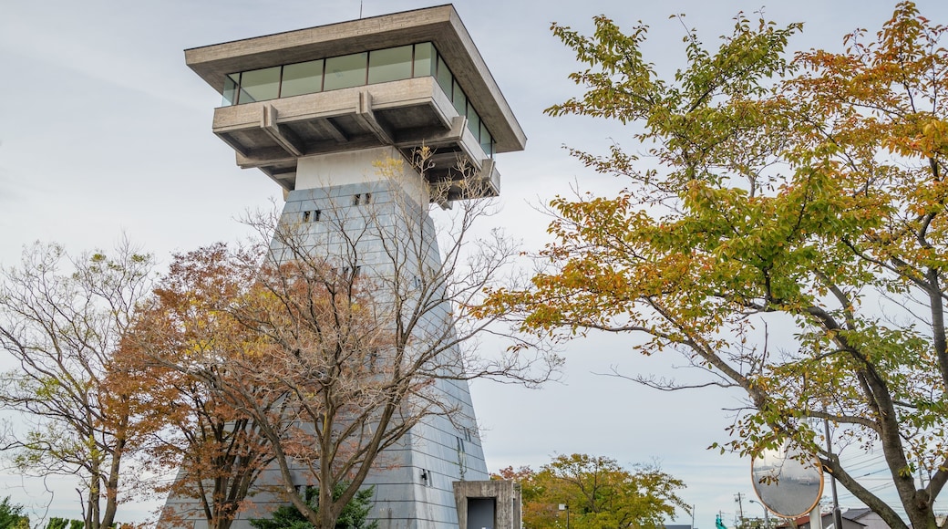 Toyama showing views