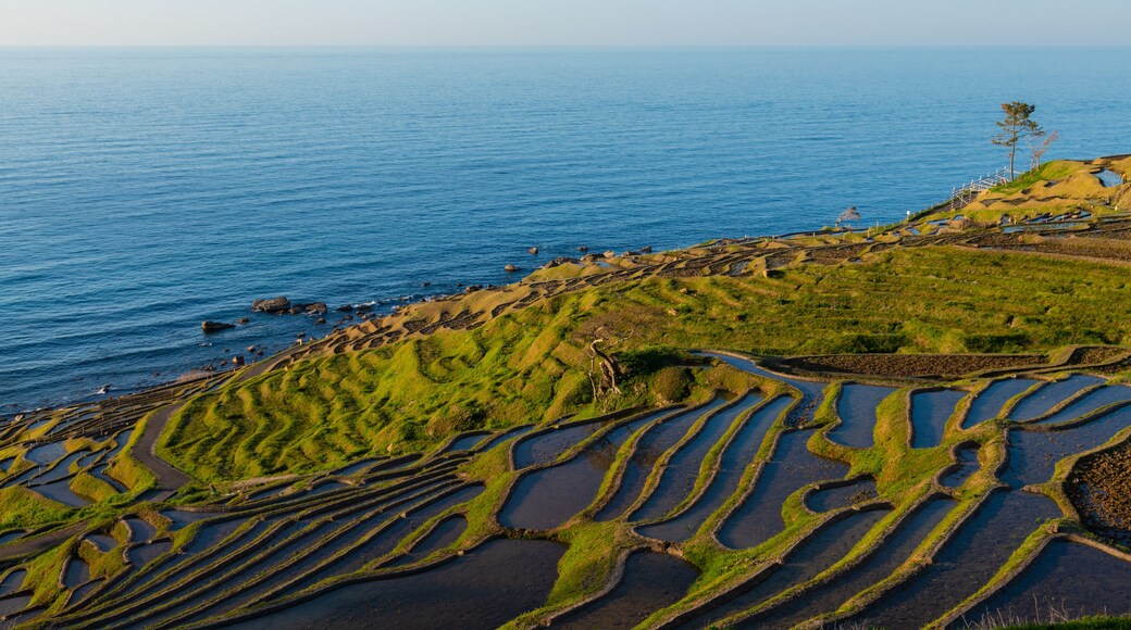 石川県 能登 白米千枚田