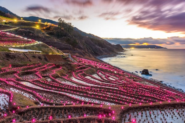 Terraced fields with pink lights, a coastal landscape, and a sunset.