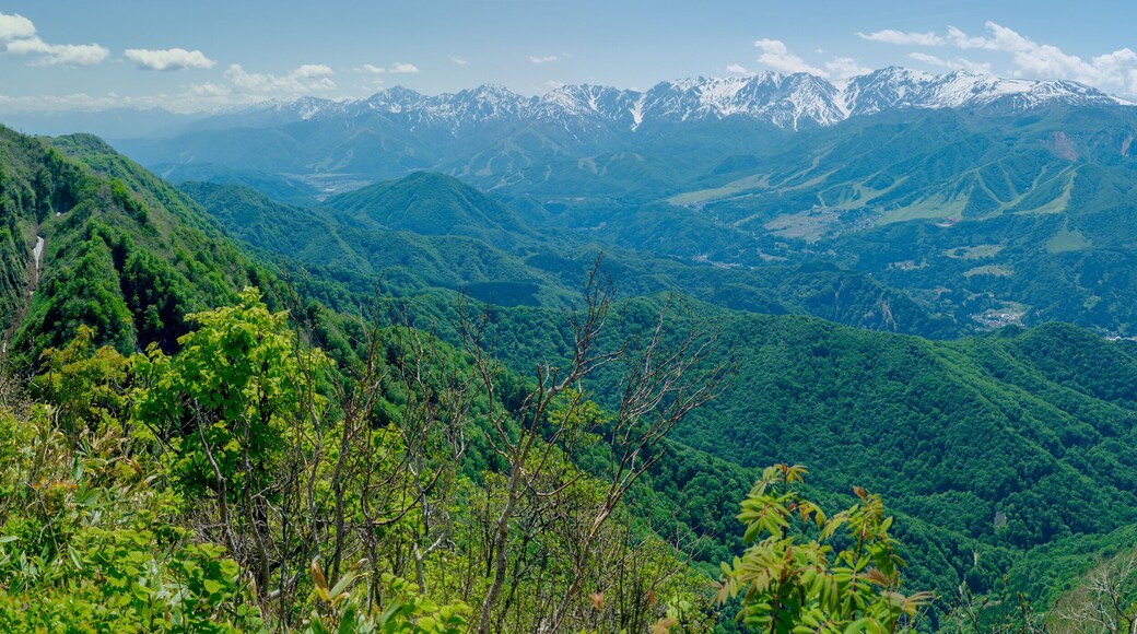 Station de ski Hakuba Iwatake Ski Resort