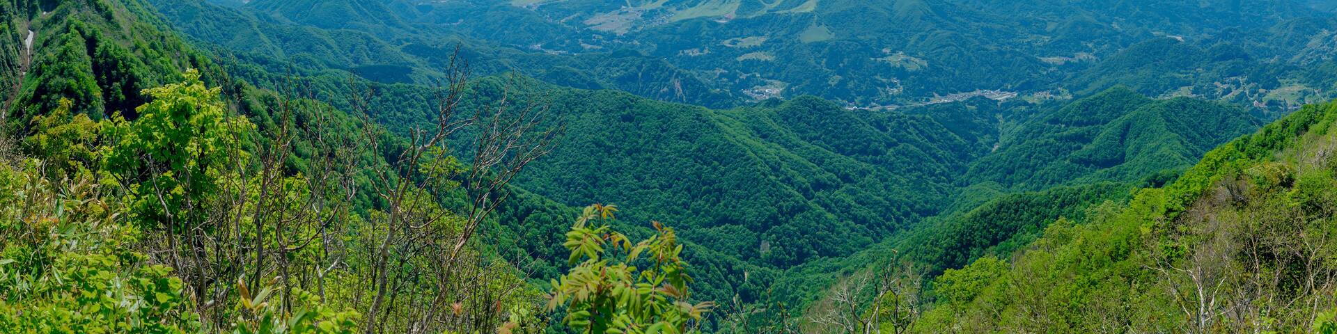 View of the Hakuba Valley and surrounding peaks of the Japanese Alps.