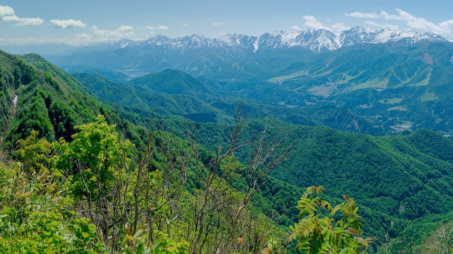 View of the Hakuba Valley and surrounding peaks of the Japanese Alps.