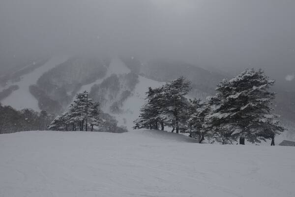 Snowy mountains in Madarao, Japan; Shutterstock ID 1056036812; Purchase Order: -