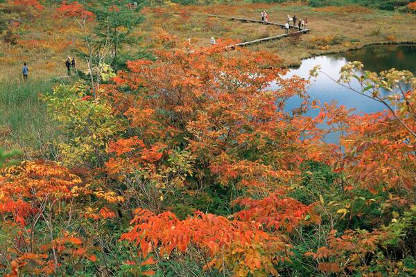Kusatsu-Shirane mountain mononogu pond