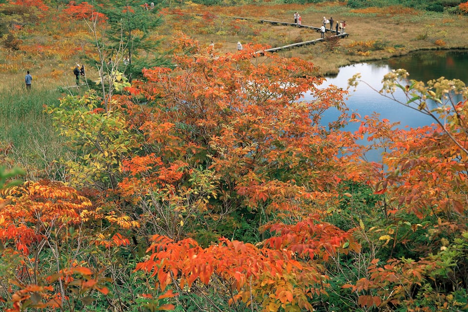 A pond surrounded by autumn foliage with people walking on a wooden bridge.