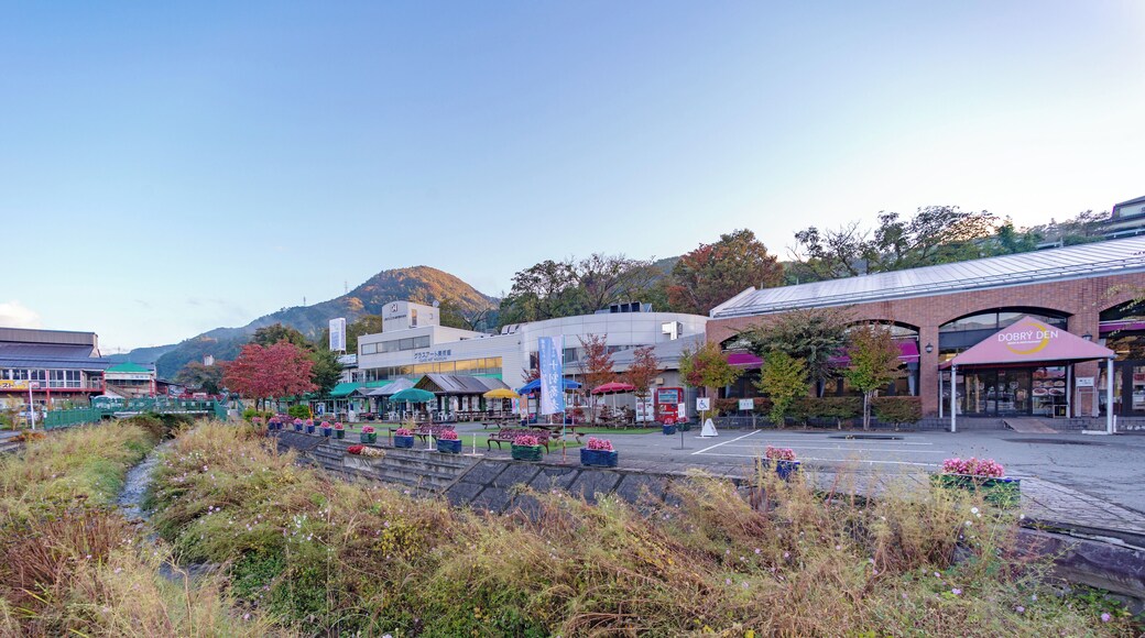 Minakami_TsukiyonoBidoruPark_553248621532775584_3