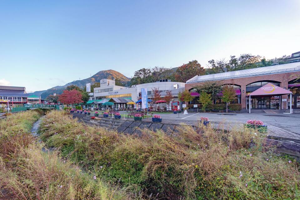 A riverside town with a bridge, buildings, and a mountain in the background.