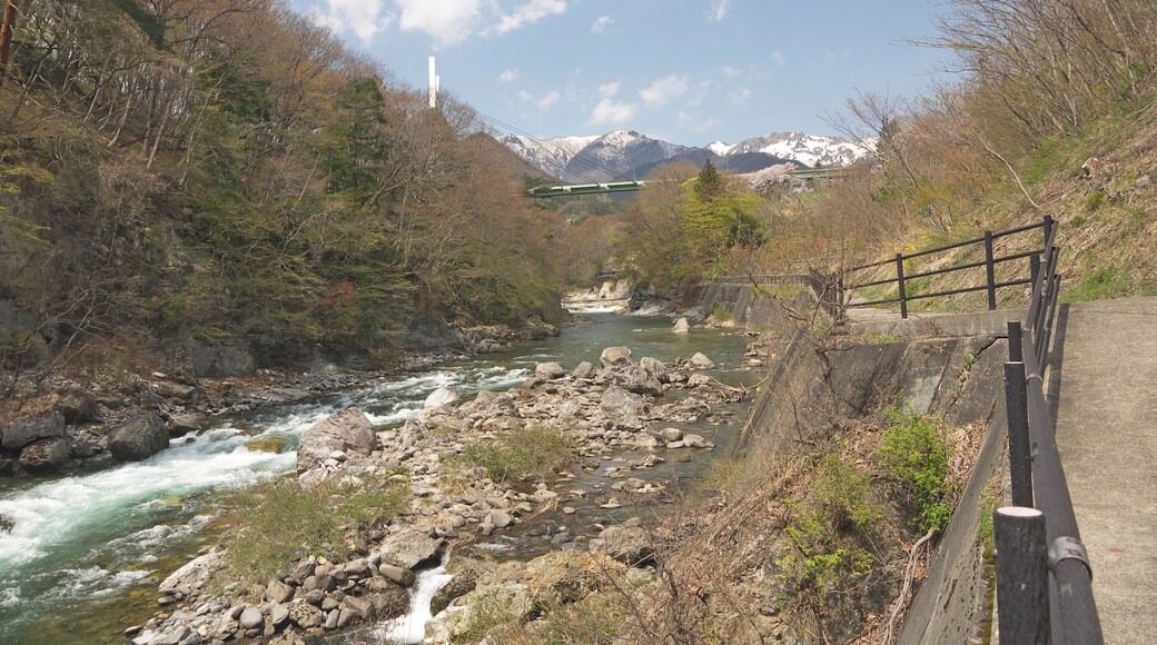 Beautiful Suwakyo Gorge view, Hiking trail by the mountain river in Minakami, springtime, wooden footpath, forest, water flowing, big Suwakyo Bridge