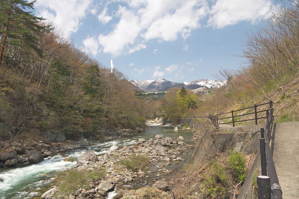 A river flowing through a forested valley with mountains in the background.