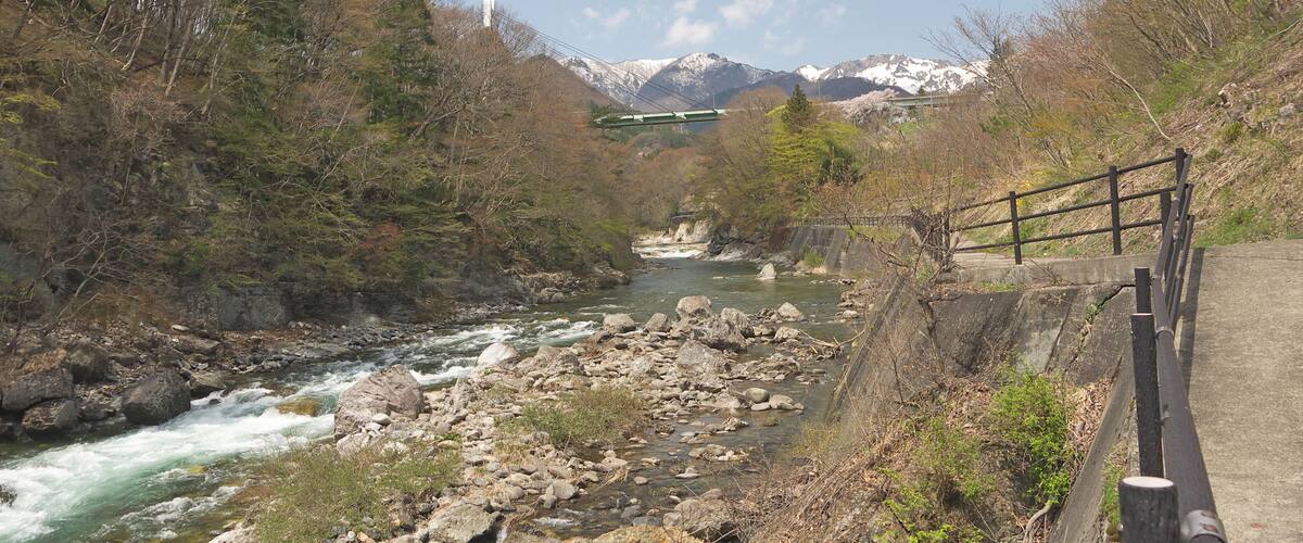 A river flowing through a forested valley with mountains in the background.